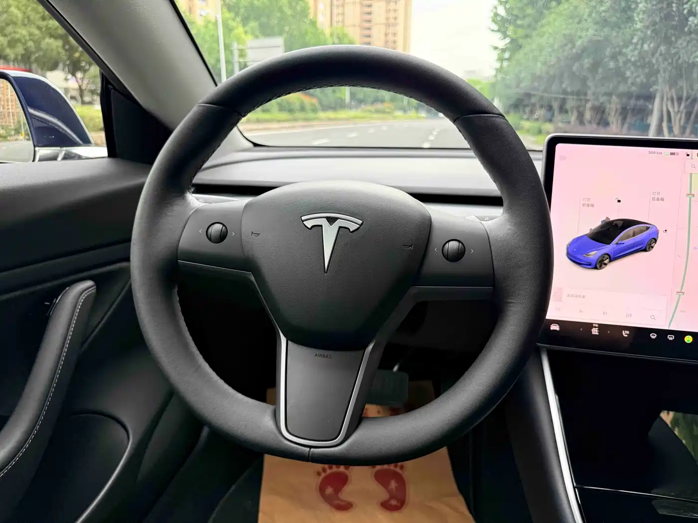Tesla Model 3 (Import) 2019 2019 Long Range RWD Version