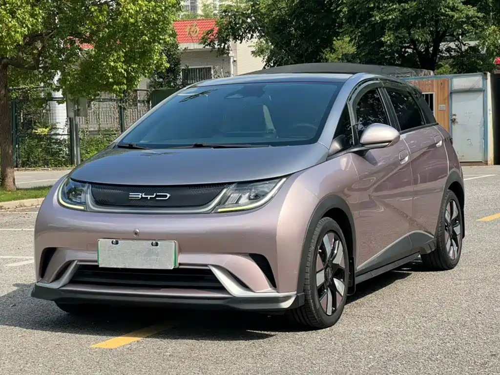 BYD Dolphin 2021