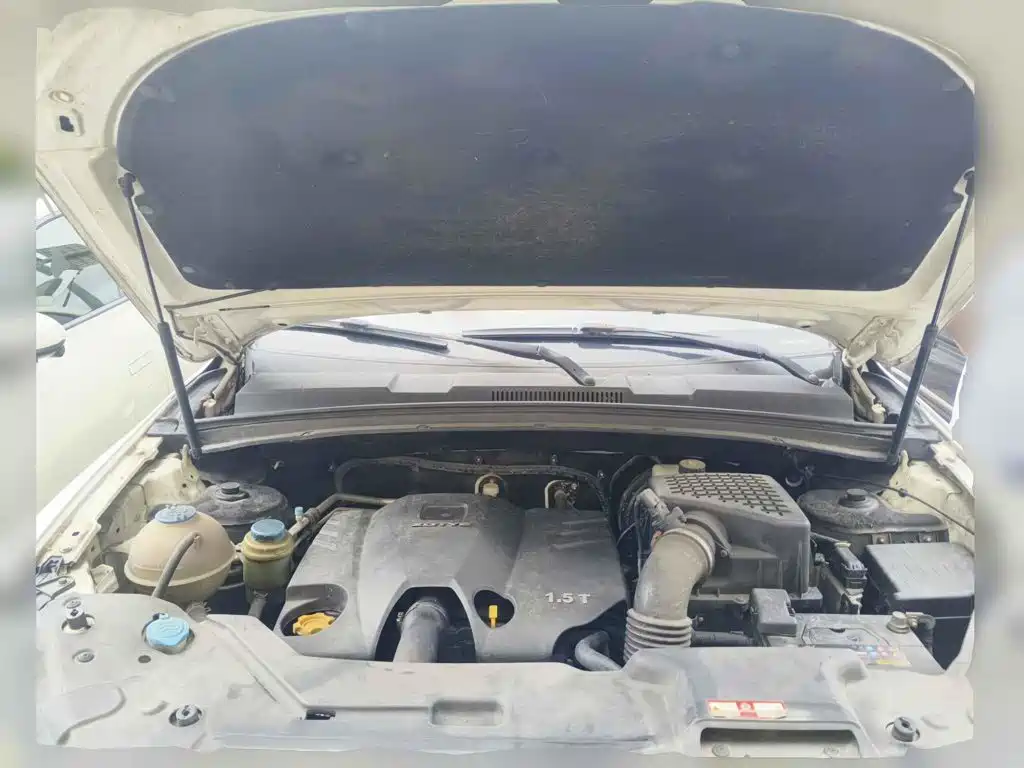 2016 Zotye T600