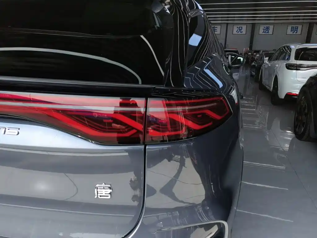 BYD Tang New Energy 2024 2024 DM-i Honor Edition 112KM Premium