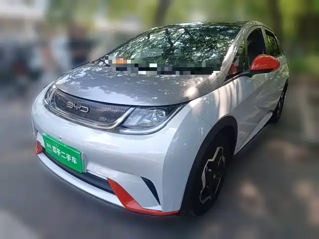 BYD Dolphin 2022