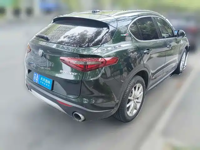 Alfa Romeo Stelvio 2020 2.0T 280HP Luxury Edition — фото 2