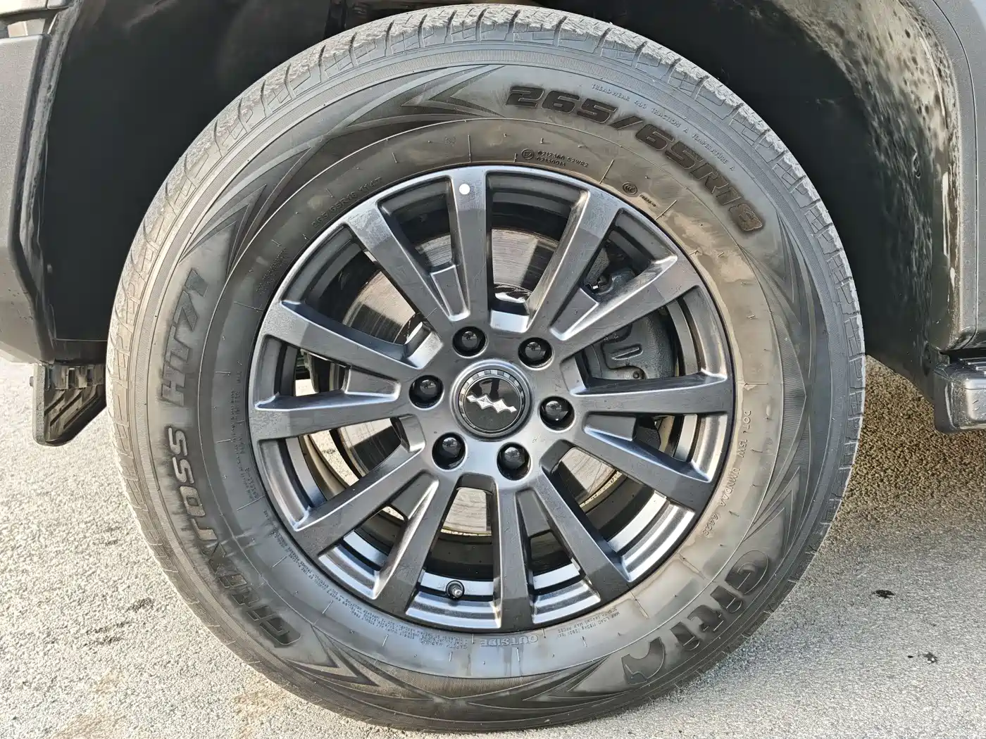 FANG CHENG BAO LEOPARD 5