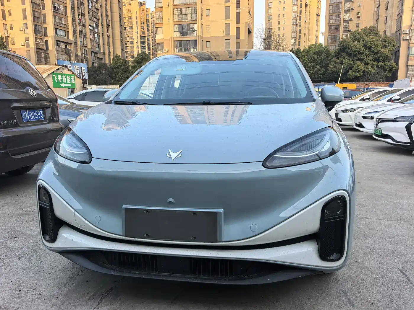 ARCFOX EXTREME FOX POLAR FOX KOALA S