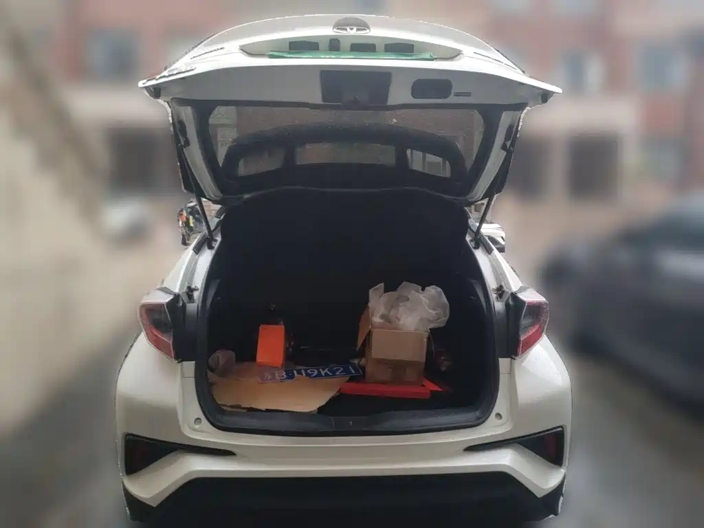 Фото 10 - Toyota C-HR