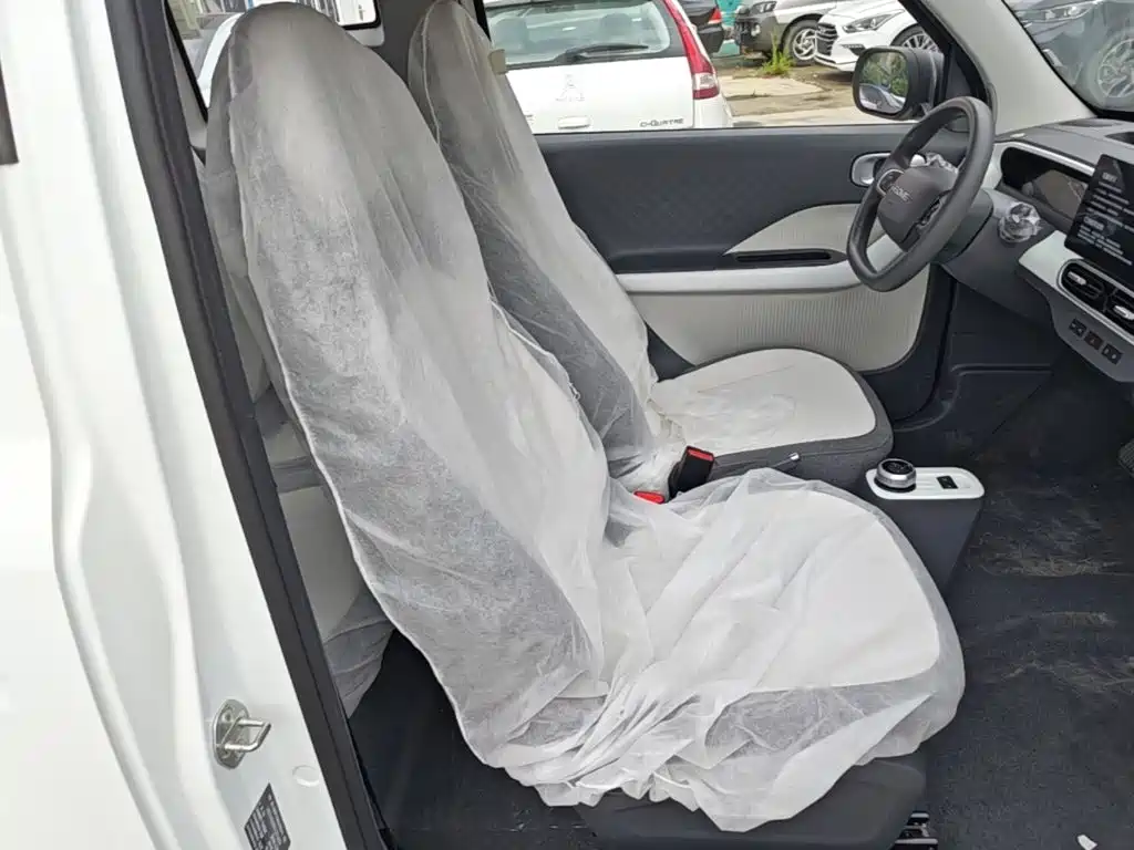 Geely Galaxy Panda 2026 2025 Panda mini 210km Vitality Bear