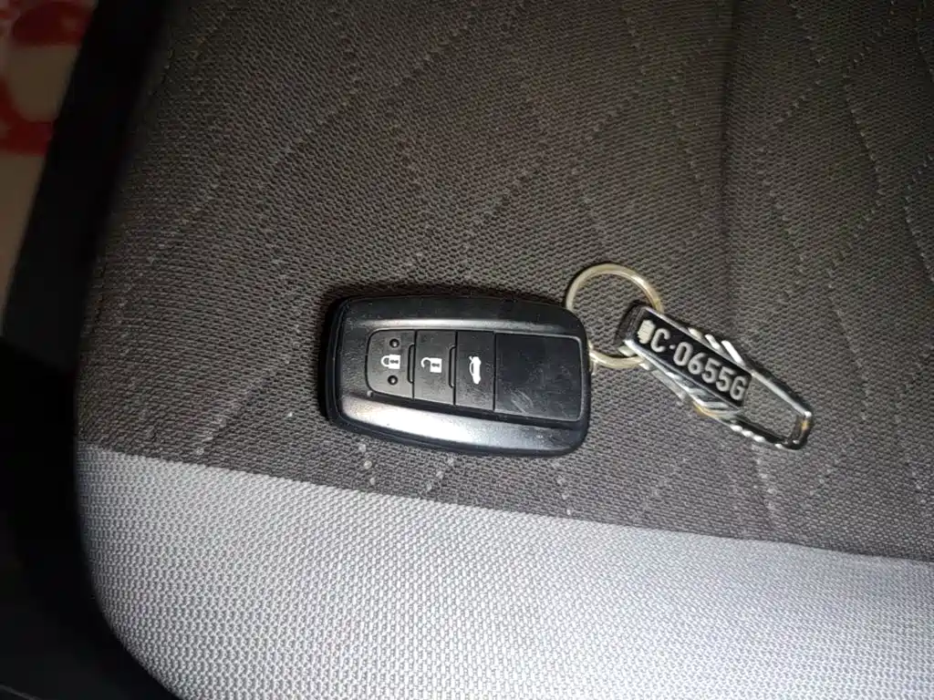 Toyota Corolla 2024 2023 1.2T Pioneer Edition