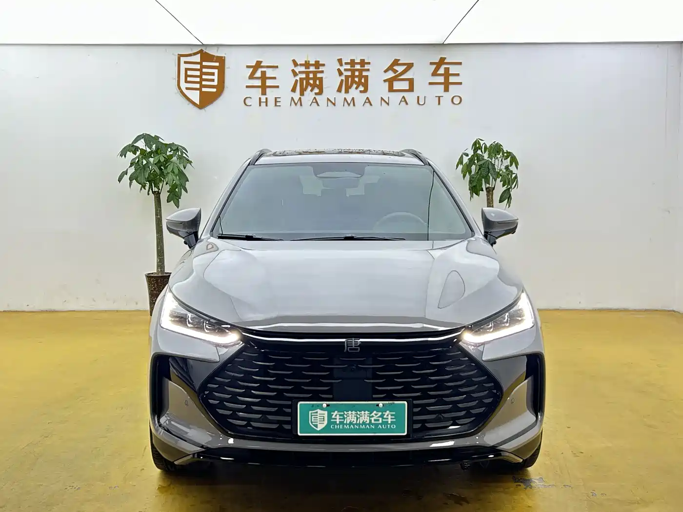 2025 BYD Tang New Energy