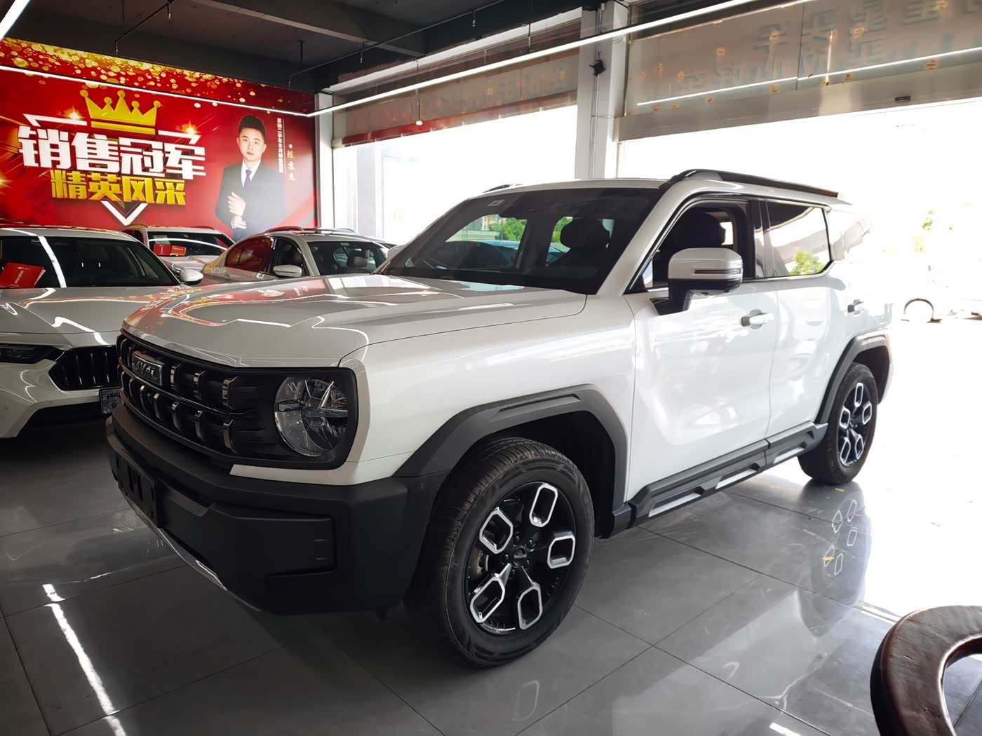 Haval Cool Dog