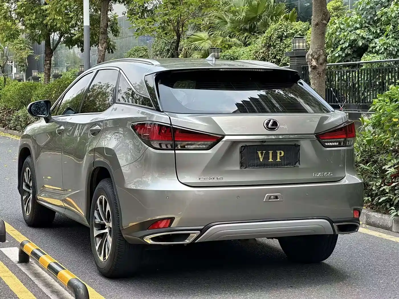 Фото 10 - Lexus RX