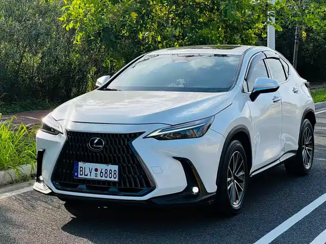  Lexus Lexus NX 2024 260 FWD Joy Creation Edition