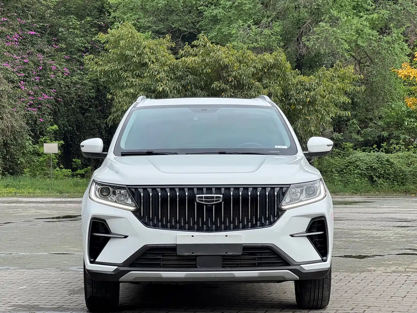 GEELY AUTOMOBILE VISION X6