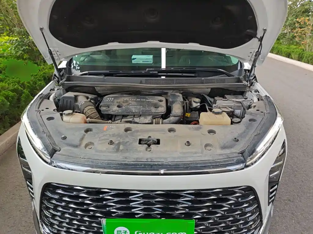Buick GL8 New Energy 2024 2024 Landglory Smart Enjoy Edition 7-Seater