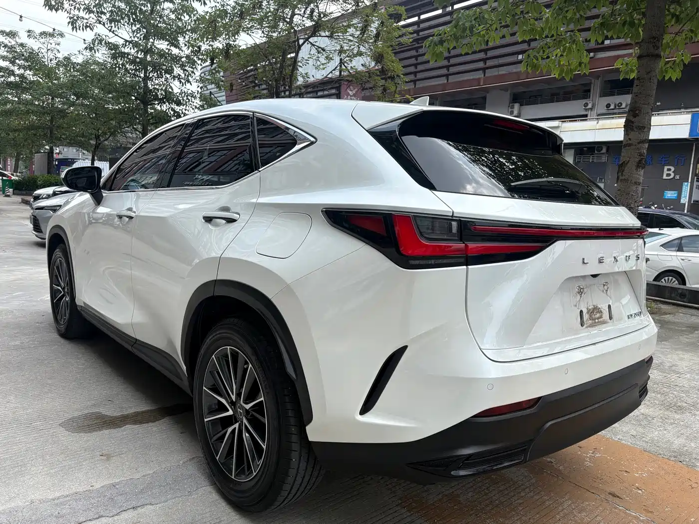 Lexus NX 2023 2022 260 FWD Joy Creation Edition