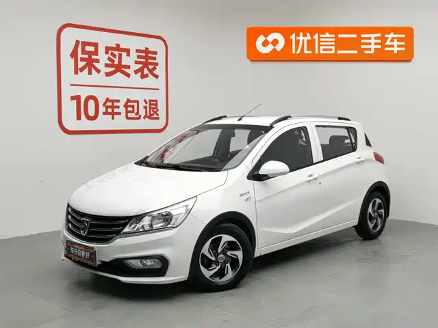 BAOJUN 310