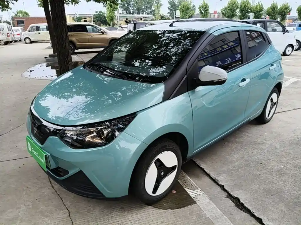 JMCG New Energy Little Kirin 2025 2024 201km Comfort Model
