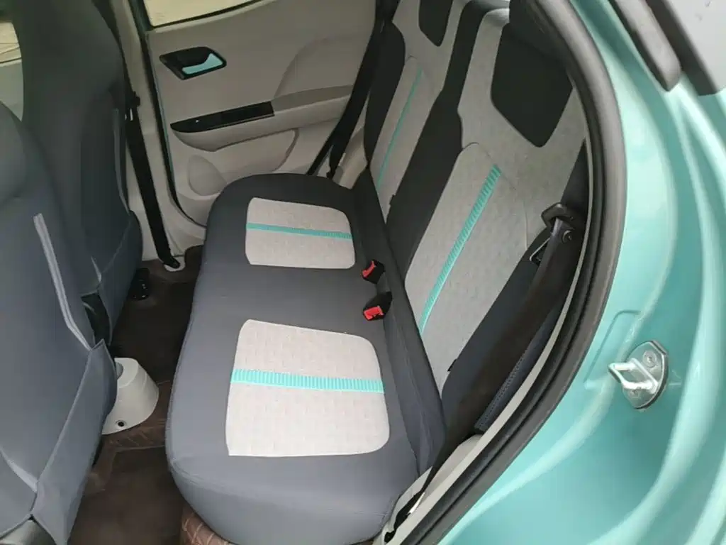 JMCG New Energy Little Kirin 2025 2024 201km Comfort Model