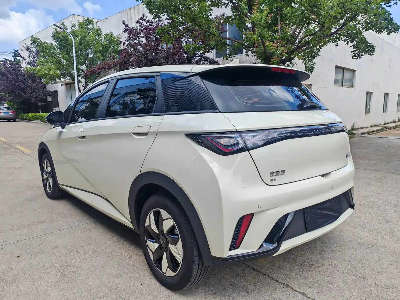 BYD Dolphin 2026 2025 420km Freedom Edition