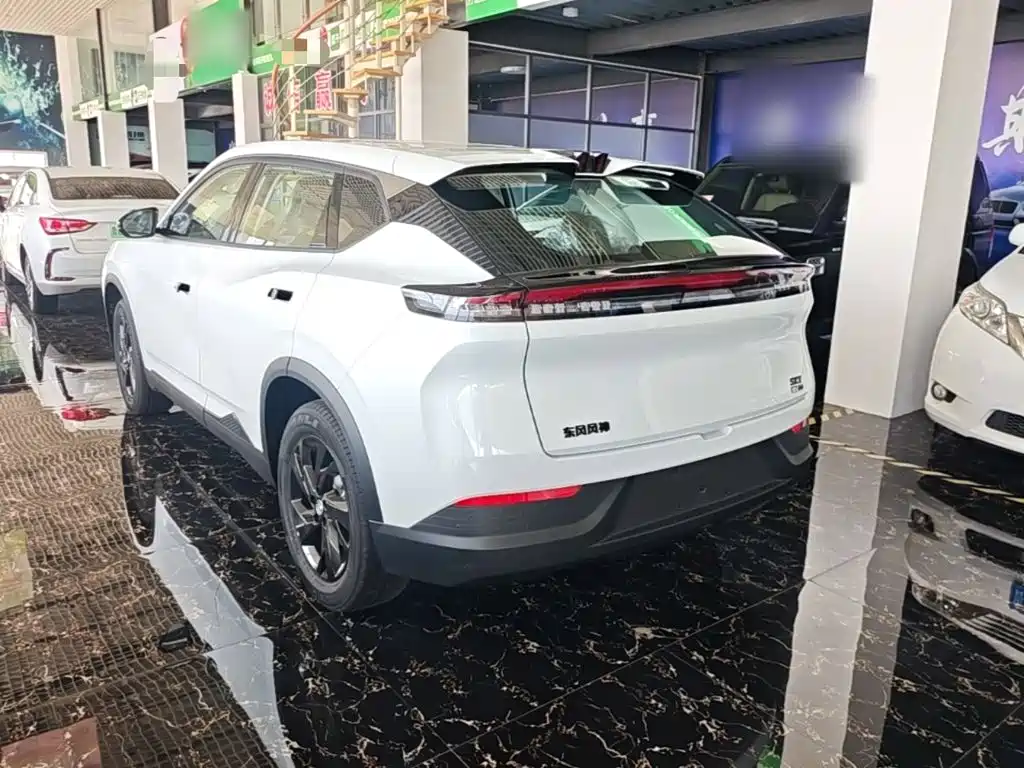 Фото 23 - Dongfeng Aeolus SKY EV01