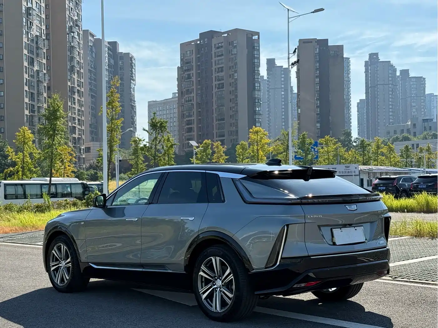 Cadillac IQ Rui Ge 2022 2022 Rear-Wheel Drive Long Range Premium Edition