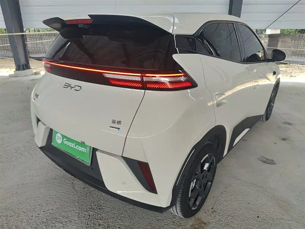 BYD Seagull 2025 Smart Drive Edition 305km Freedom Version фото 8