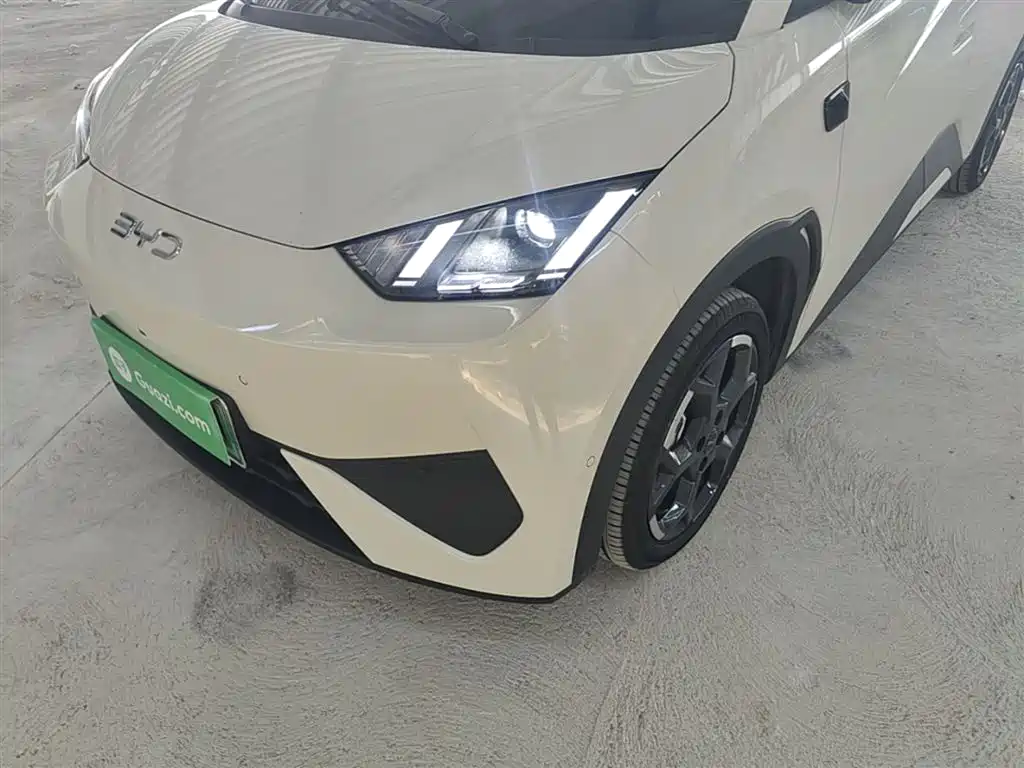 BYD Seagull 2025 Smart Drive Edition 305km Freedom Version фото 24