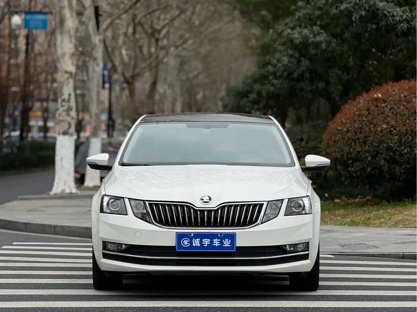 Škoda Octavia 2018 TSI230 DSG Luxury Edition фото 2