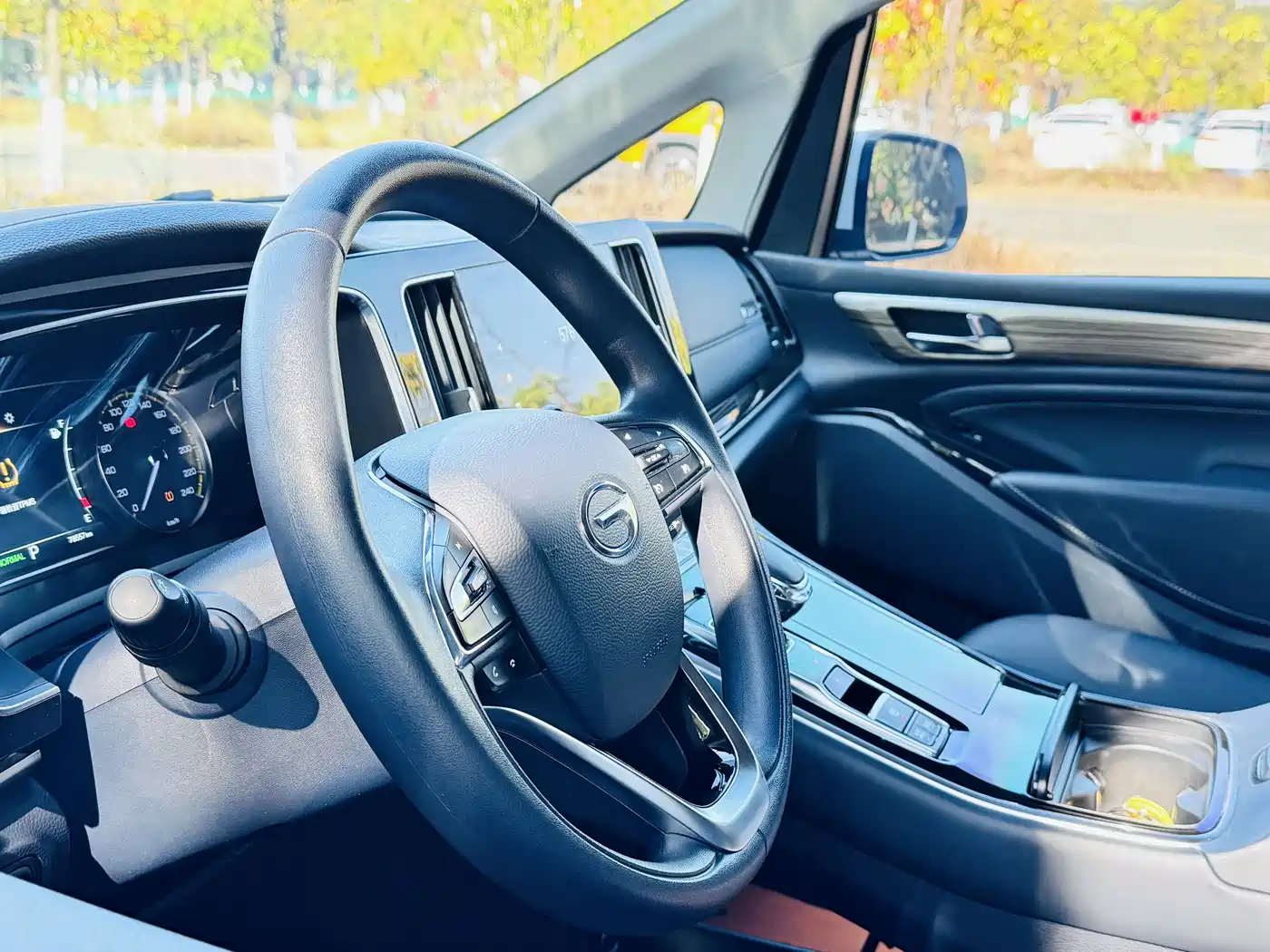 GAC Trumpchi Trumpchi M8 2023 Leading Series 390T Luxury Edition фото 10