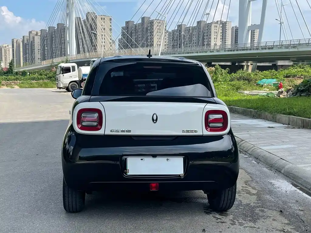 Ora Black Cat 2022 2022 351km Comfort (NMC)