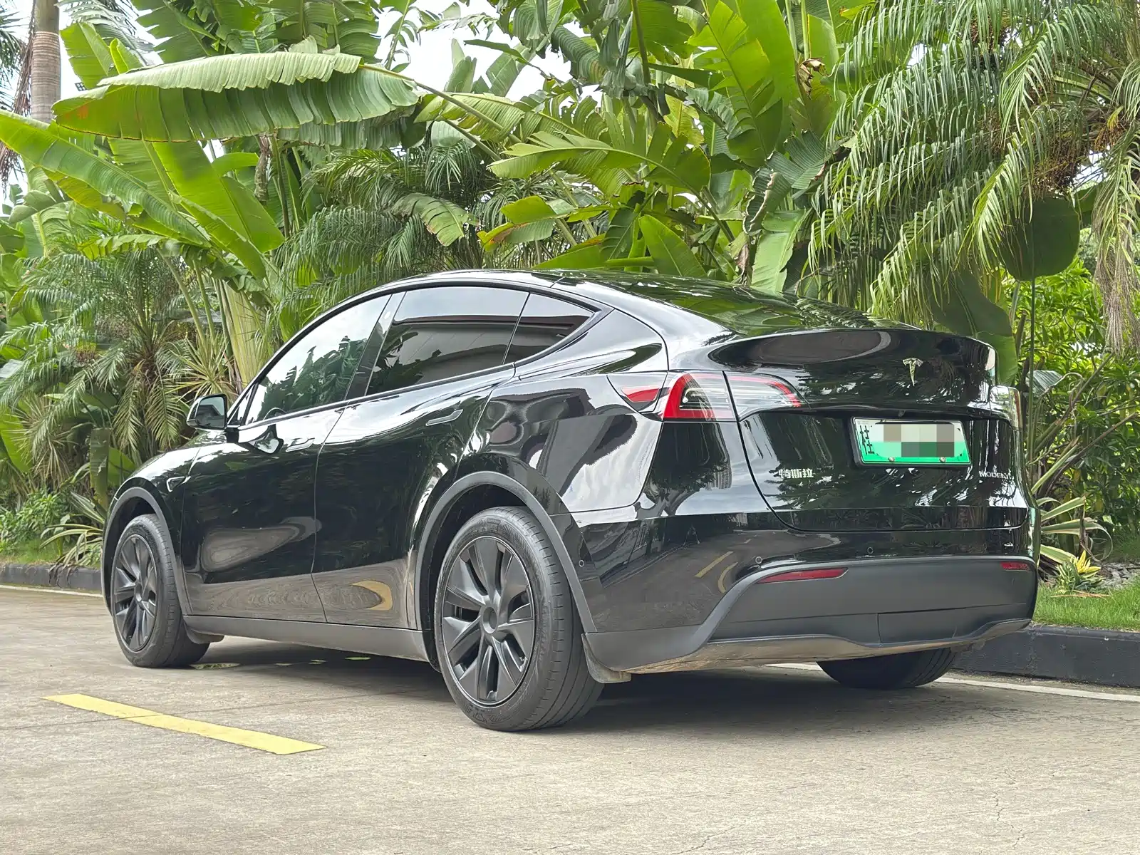 Фото 5 - Tesla Model Y