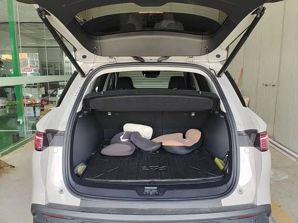 BYD Seal 05 DM-i 2025 DM-i Smart Drive Edition 75KM Luxury фото 19