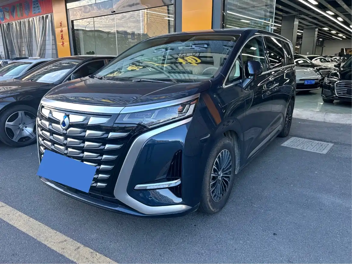 Denza D9 2023 2022 DM-i 970 All-Wheel Drive Honor Edition