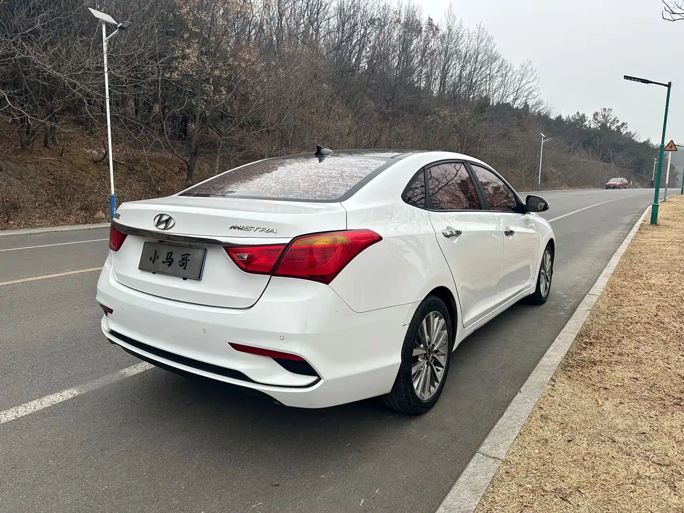 HYUNDAI NAME PICTURE