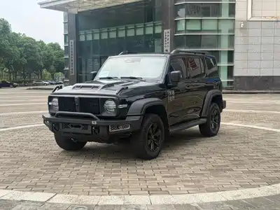 Tank 300
