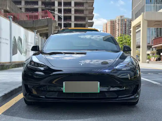Tesla Model 3 2021 Standard Range Rear-Wheel Drive Upgrade 3D6 — фото 2