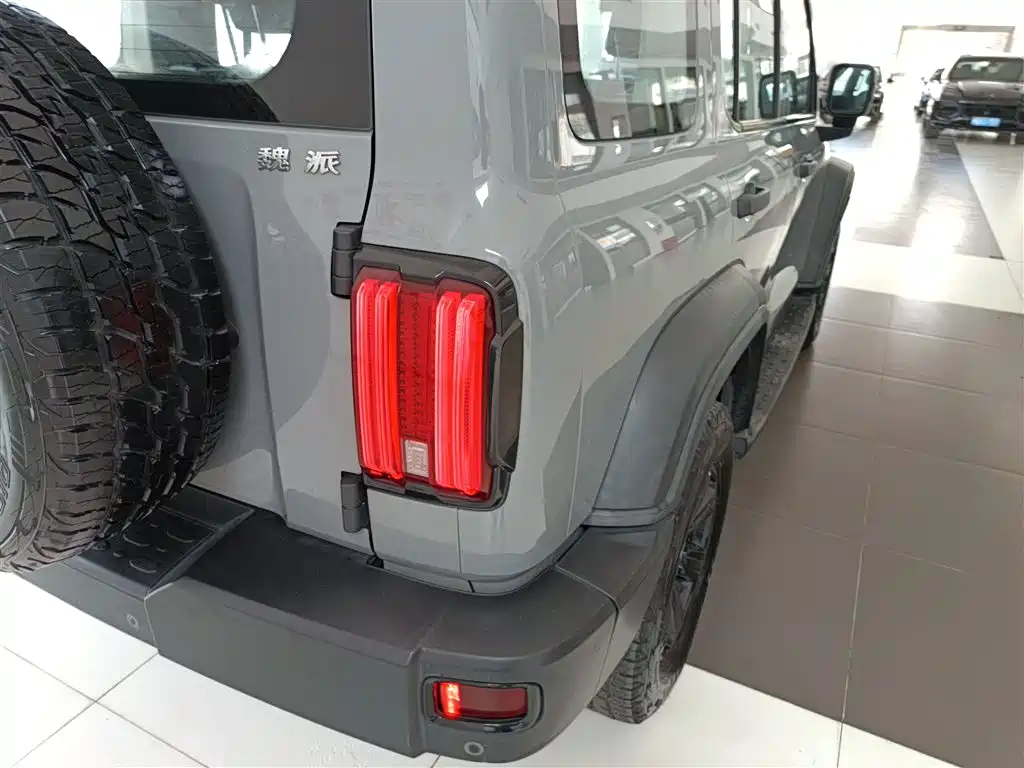 Tank 300 2021 Off-road Edition 2.0T Challenger фото 24