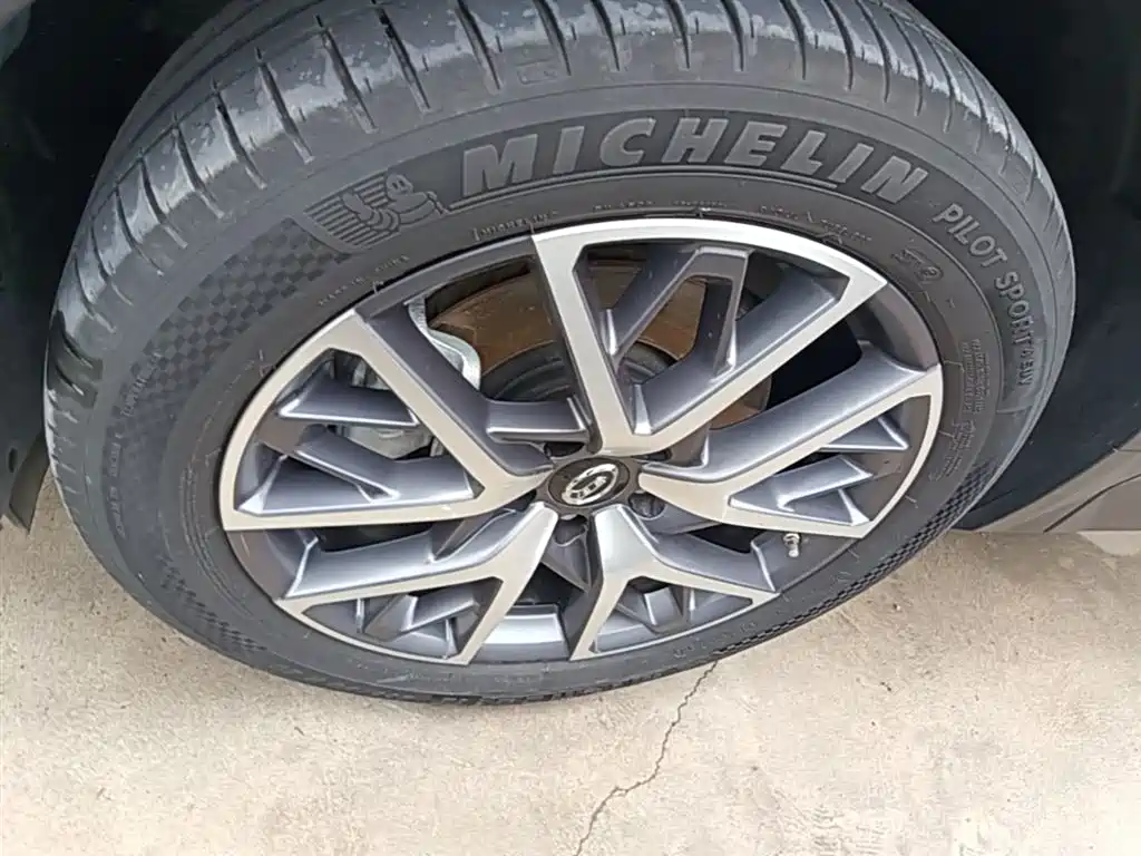 GAC Trumpchi Trumpchi GS8 2022 Pilot Series 2.0TGDI 2WD Luxury Smart Connect Edition (7-Seater) фото 22