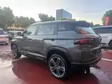 Фото 4 - Geely ICON