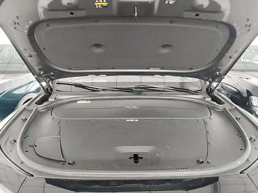 Фото 20 - Li Auto Li ONE
