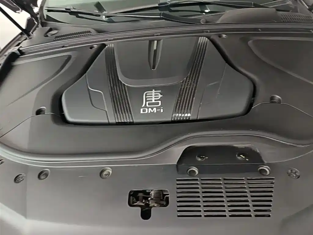 BYD Tang New Energy 2025 Smart Driving Edition DM-i 115KM Flagship фото 20