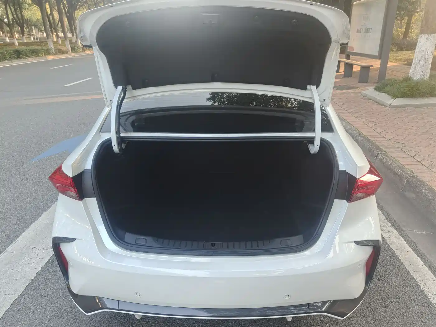 BUICK WEILANG