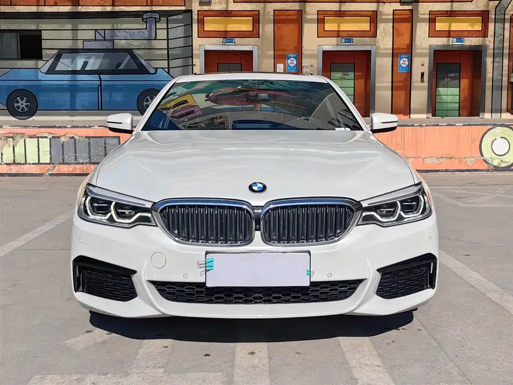 BMW 5 Series 2020 530Li Leading M Sport Package фото 2