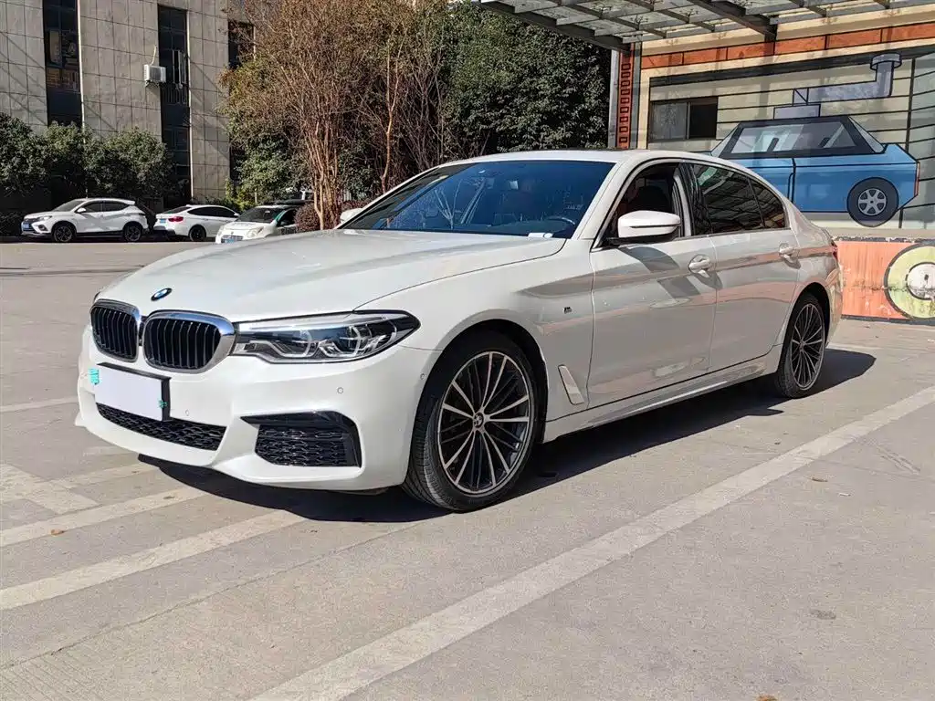 BMW 5 Series 2020 530Li Leading M Sport Package