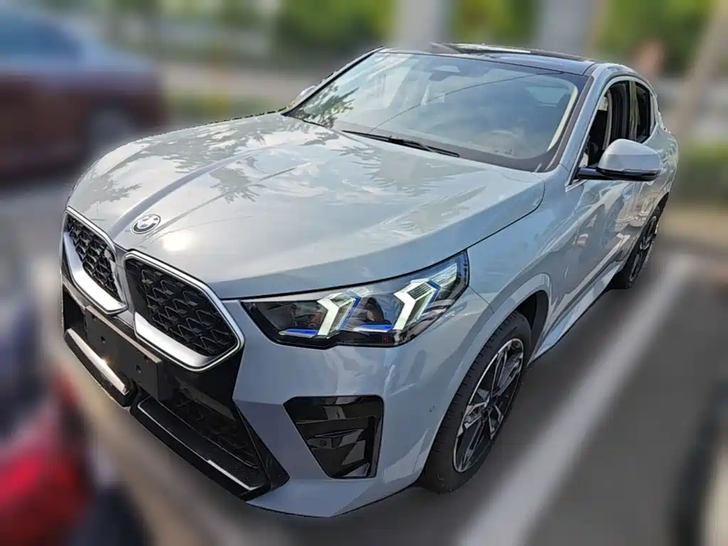BMW X2 (Import) 2025 2025 sDrive25i M Sport Package