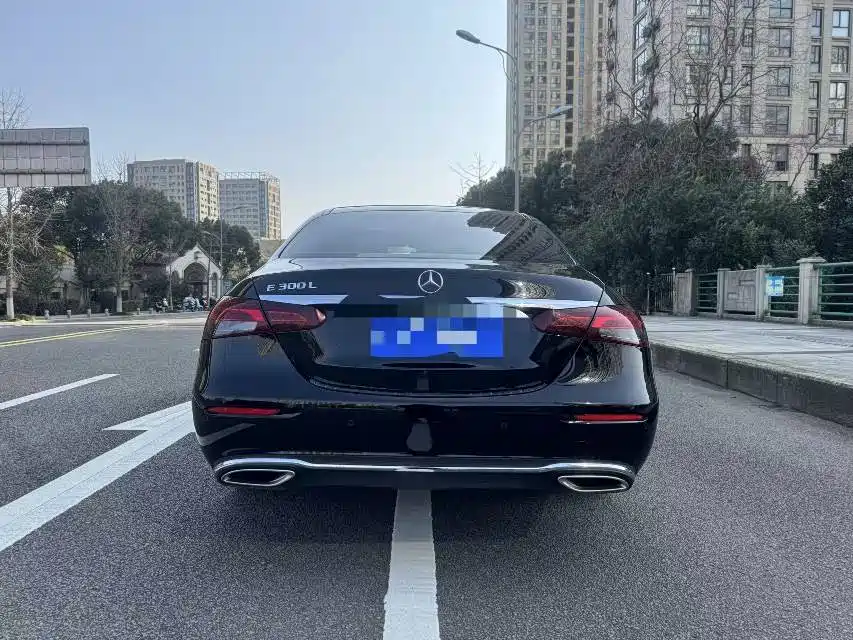 Mercedes-Benz E-Class 2023 E 300 L Luxury фото 11