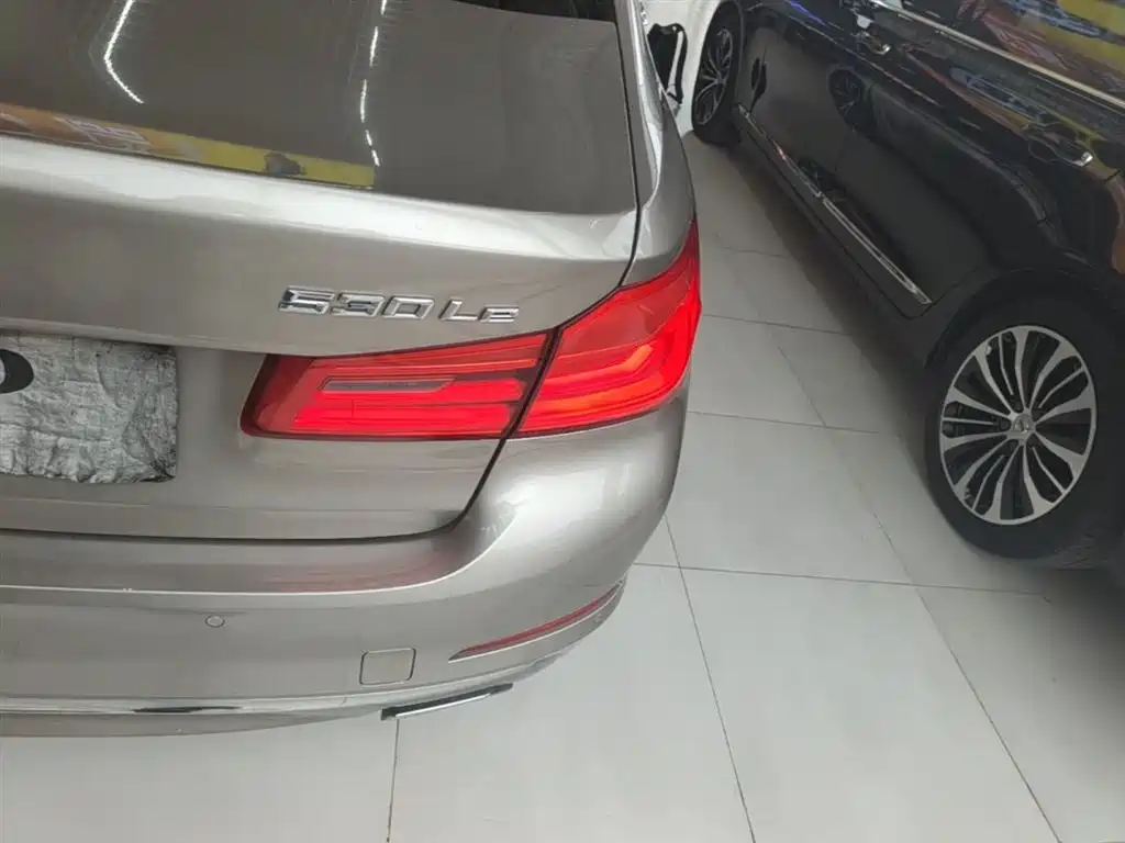 BMW 5 Series New Energy 2019 530Le Luxury Package фото 8