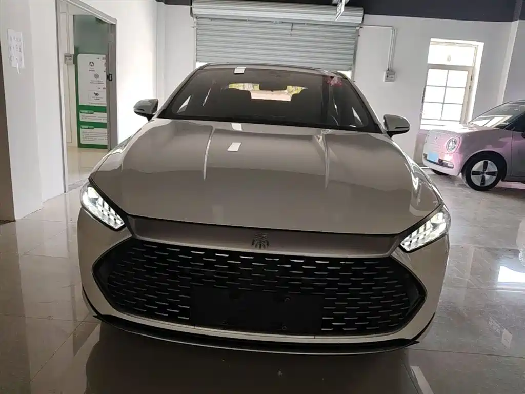 BYD Qin PLUS 2021 DM-i 55KM Flagship фото 3