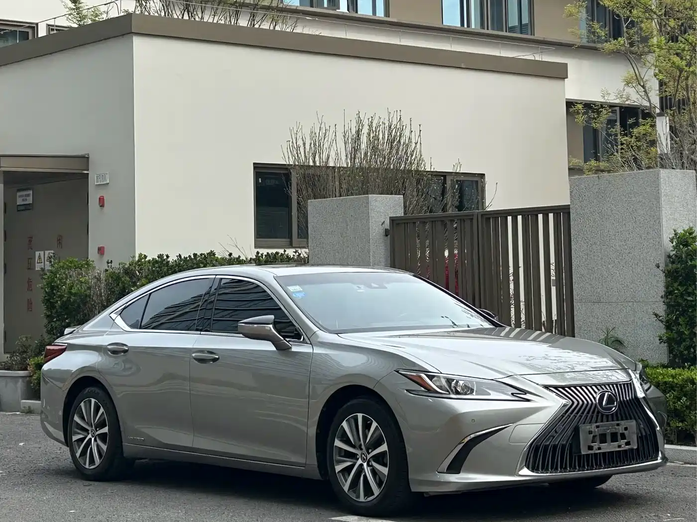 Lexus ES 2018 300h Excellence Edition China V фото 3