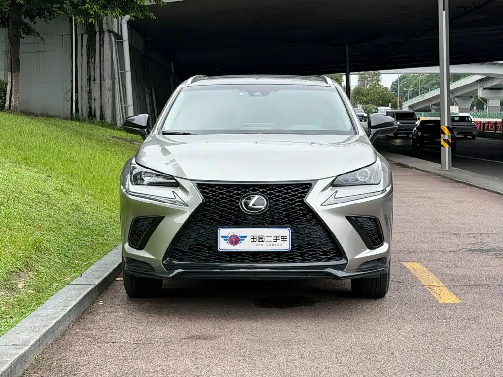 Фото 2 - Lexus NX
