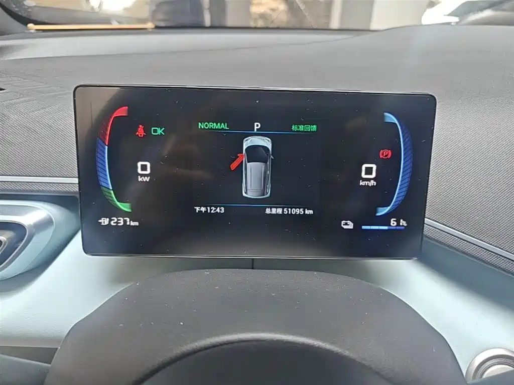 BYD Seagull 2023 Flying Edition фото 12